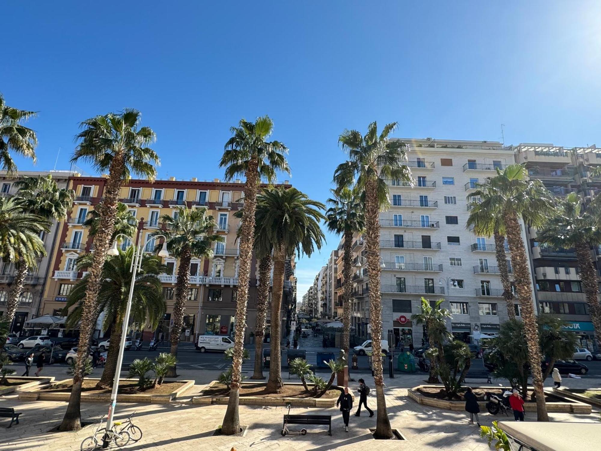 בארי Palm Central House מראה חיצוני תמונה